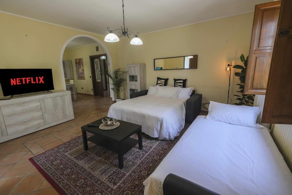 Villa Luxury Pool & Garden Пиза Экстерьер фото